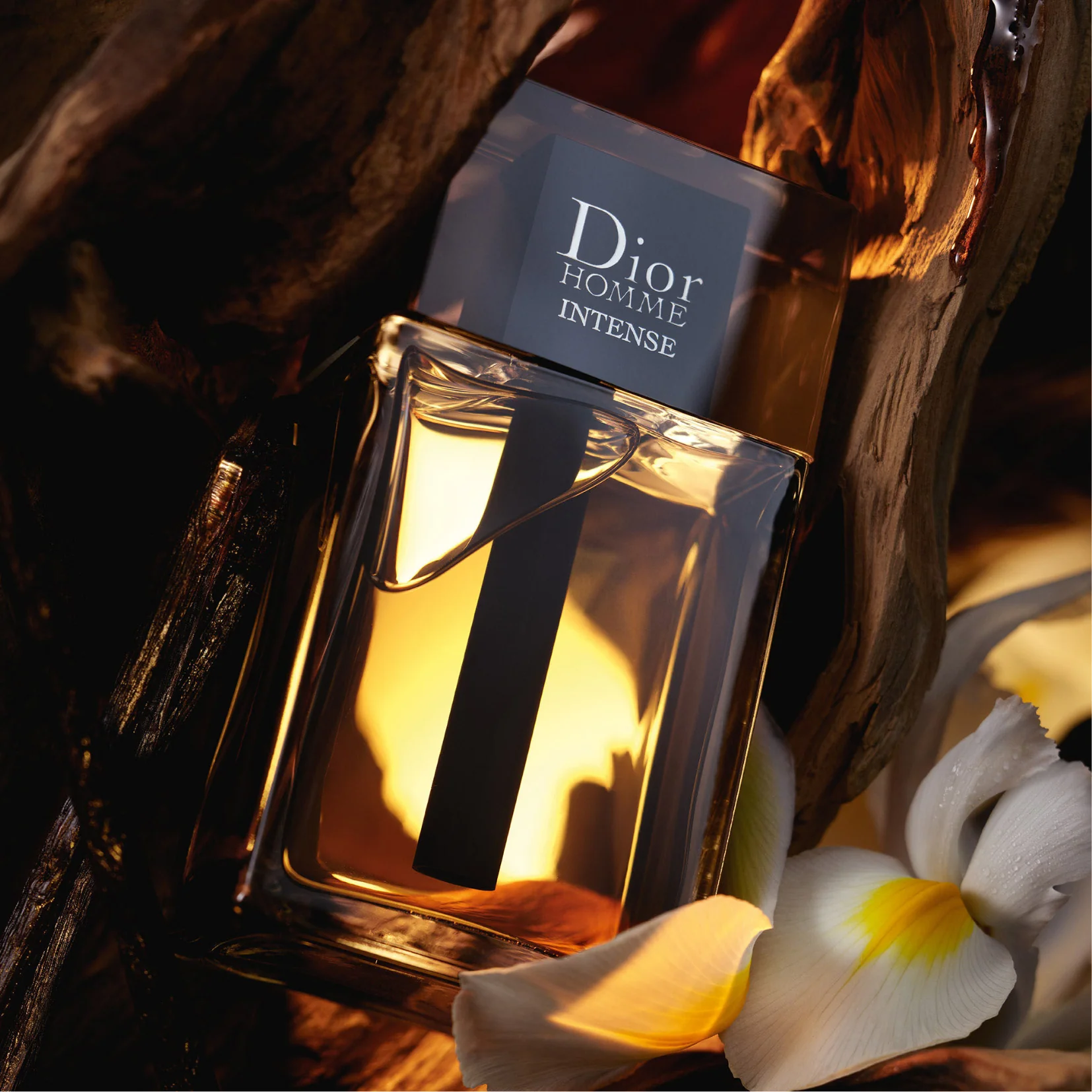 Dior Homme Intense EDP for Men 100ML